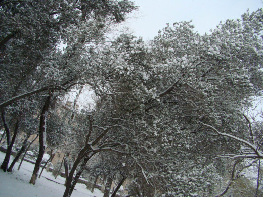 36015 (a): :1600x1200